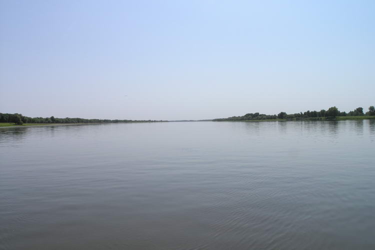 p8160250