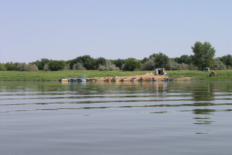 p8160253